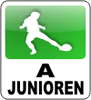 VfB Gräfenhainichen A-Jugend 2023/24