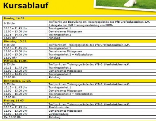 Infos zur BVB-Evonik-Fussballschule in Gräfenhainichen