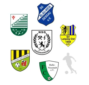 NSG-Hallenturnier der C-Jugend am 18.01.2026