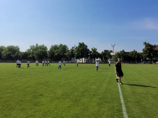 01.06.2024 VfB Gräfenhainichen vs. SV Germania Roßlau