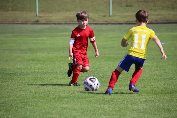 08.06.2024 Piesteritz vs. VfB Gräfenhainichen