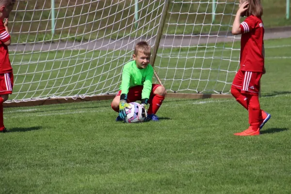 08.06.2024 Piesteritz vs. VfB Gräfenhainichen