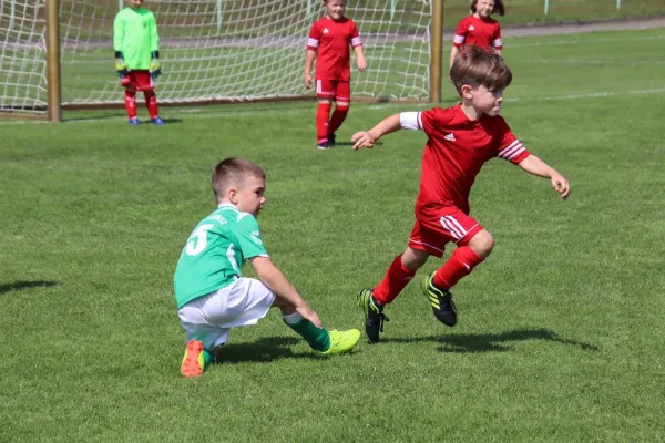 08.06.2024 Piesteritz vs. VfB Gräfenhainichen