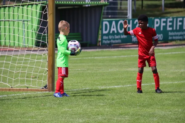 08.06.2024 Piesteritz vs. VfB Gräfenhainichen