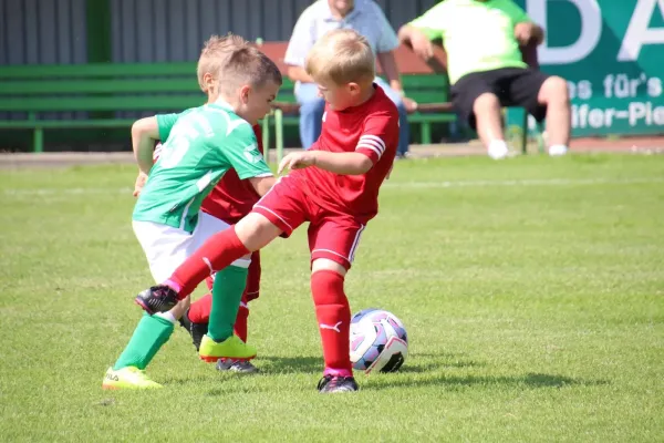 08.06.2024 Piesteritz vs. VfB Gräfenhainichen