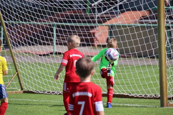 08.06.2024 Piesteritz vs. VfB Gräfenhainichen