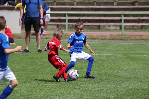 08.06.2024 Piesteritz vs. VfB Gräfenhainichen