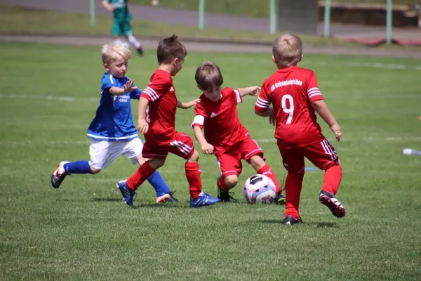 08.06.2024 Piesteritz vs. VfB Gräfenhainichen