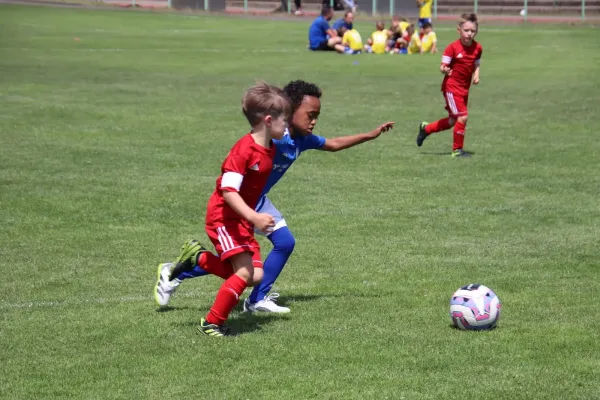 08.06.2024 Piesteritz vs. VfB Gräfenhainichen