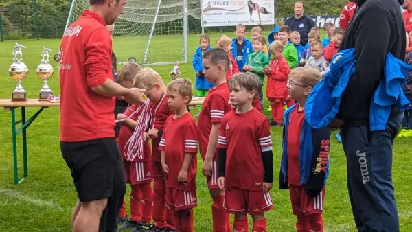 15.06.2024 SG Rot Weiß Thalheim vs. VfB Gräfenhainichen