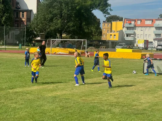 17.08.2024 Victoria Wittenberg vs. NSG Gräfenhainichen