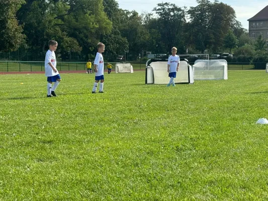 17.08.2024 Victoria Wittenberg vs. NSG Gräfenhainichen