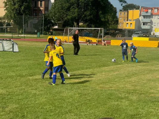 17.08.2024 Victoria Wittenberg vs. NSG Gräfenhainichen