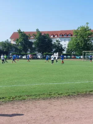 24.08.2024 NSG Gräfenhainichen vs. SV Blau-Rot Pratau