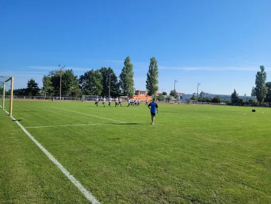 08.09.2024 NSG Gräfenhainichen vs. Piesteritz