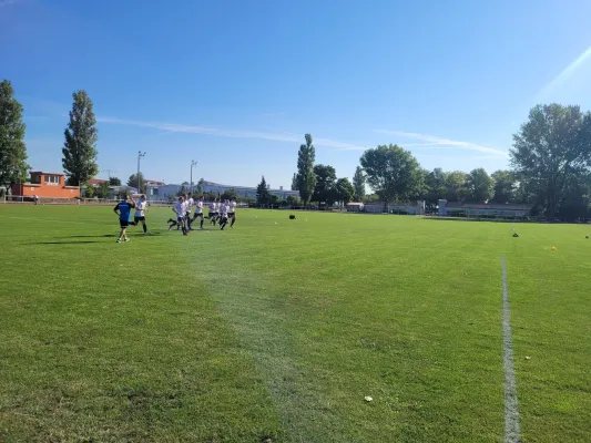 08.09.2024 NSG Gräfenhainichen vs. Piesteritz