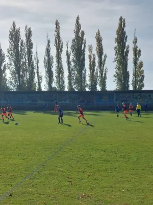 26.10.2024 NSG Gräfenhainichen vs. NSG Lutherkicker