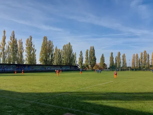 26.10.2024 NSG Gräfenhainichen vs. NSG Lutherkicker