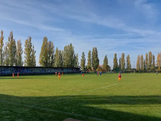 26.10.2024 NSG Gräfenhainichen vs. NSG Lutherkicker