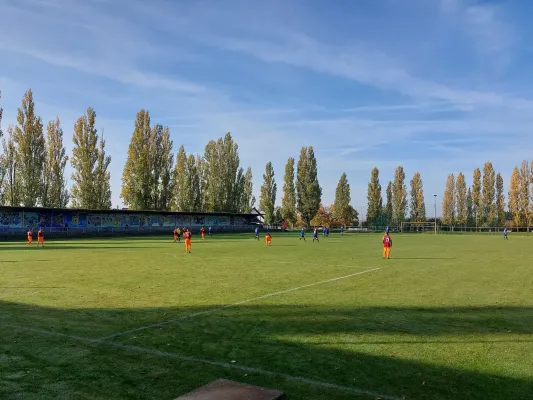 26.10.2024 NSG Gräfenhainichen vs. NSG Lutherkicker