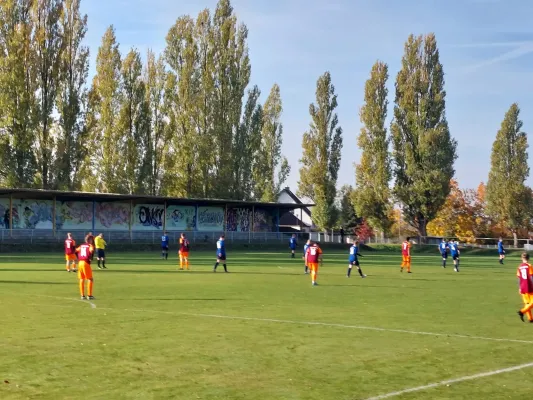 26.10.2024 NSG Gräfenhainichen vs. NSG Lutherkicker