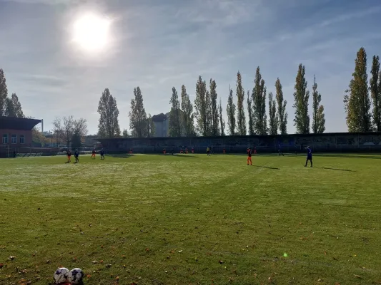 26.10.2024 NSG Gräfenhainichen vs. NSG Lutherkicker