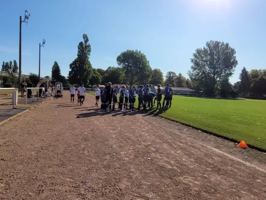 21.09.2024 NSG Gräfenhainichen vs. NSG Dessau/Kochstedt