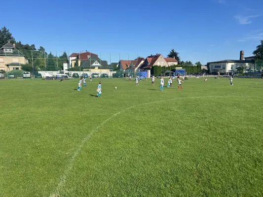 06.08.2024 Dessauer SV 97 vs. NSG Gräfenhainichen