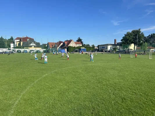 06.08.2024 Dessauer SV 97 vs. NSG Gräfenhainichen