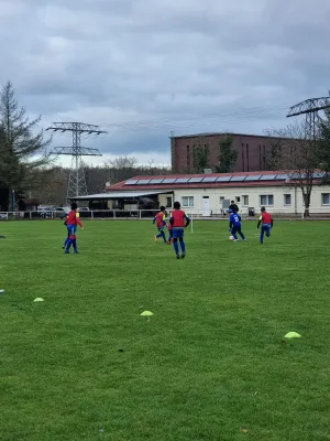 23.11.2024 NSG Gräfenhainichen vs. SG Schköna