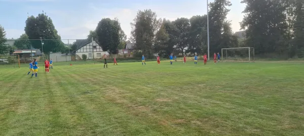 30.08.2024 NSG Gräfenhainichen vs. FSV Bad Schmiedeberg II