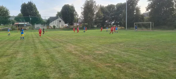 30.08.2024 NSG Gräfenhainichen vs. FSV Bad Schmiedeberg II