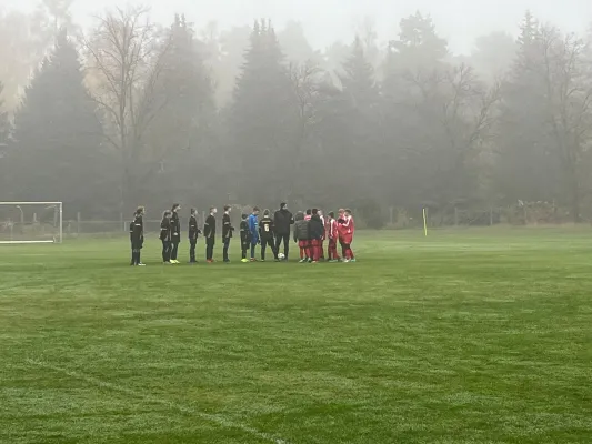 10.11.2024 FSV Bad Schmiedeberg II vs. NSG Gräfenhainichen