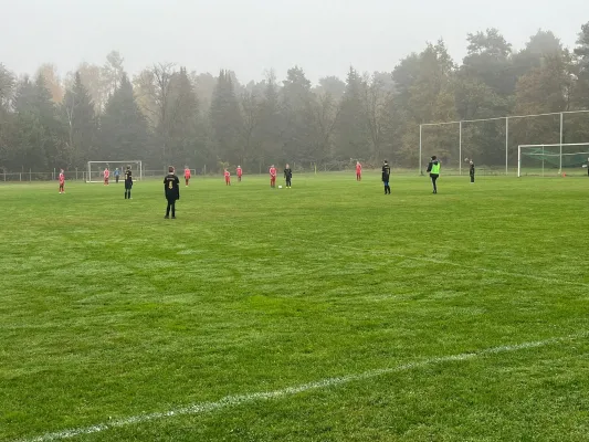 10.11.2024 FSV Bad Schmiedeberg II vs. NSG Gräfenhainichen