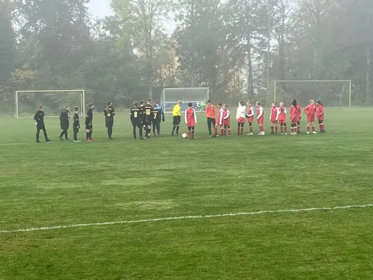 03.11.2024 NSG Gräfenhainichen vs. SV Rot-Weiß Kemberg