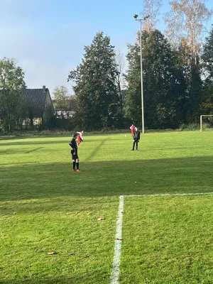 03.11.2024 NSG Gräfenhainichen vs. SV Rot-Weiß Kemberg