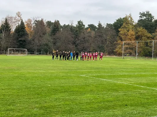 16.11.2024 FSV Bad Schmiedeberg vs. NSG Gräfenhainichen