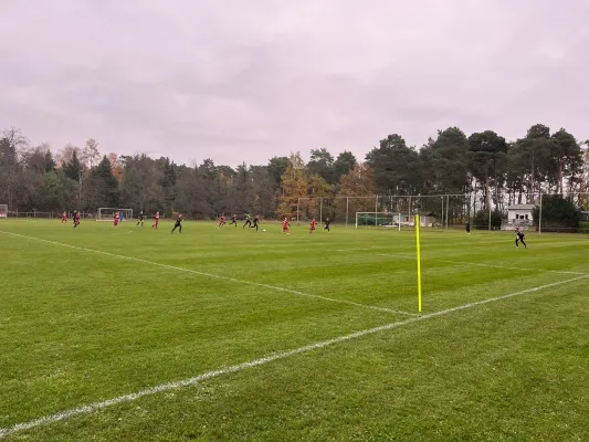 16.11.2024 FSV Bad Schmiedeberg vs. NSG Gräfenhainichen