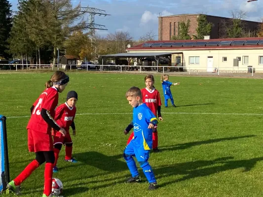 31.10.2024 NSG Gräfenhainichen vs. FSV Bad Schmiedeberg