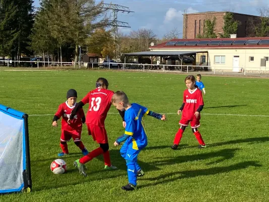 31.10.2024 NSG Gräfenhainichen vs. FSV Bad Schmiedeberg