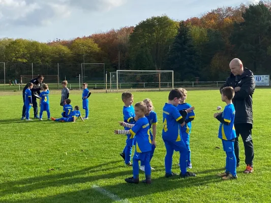 31.10.2024 NSG Gräfenhainichen vs. FSV Bad Schmiedeberg