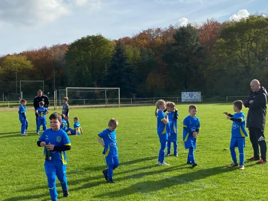 31.10.2024 NSG Gräfenhainichen vs. FSV Bad Schmiedeberg