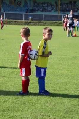 24.08.2024 NSG Gräfenhainichen vs. SV Rot-Weiß Kemberg