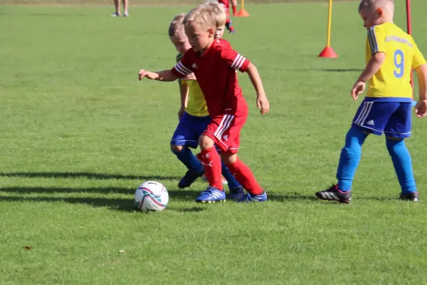 24.08.2024 NSG Gräfenhainichen vs. SV Rot-Weiß Kemberg