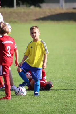 24.08.2024 NSG Gräfenhainichen vs. SV Rot-Weiß Kemberg