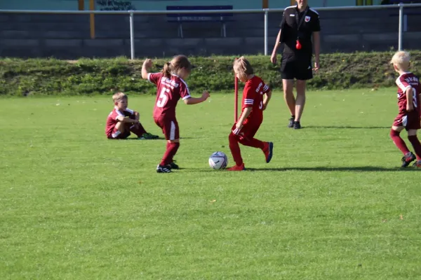 24.08.2024 NSG Gräfenhainichen vs. SV Rot-Weiß Kemberg