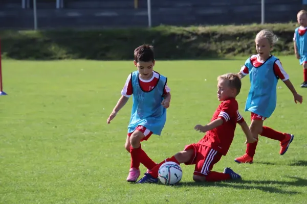 24.08.2024 NSG Gräfenhainichen vs. SV Rot-Weiß Kemberg