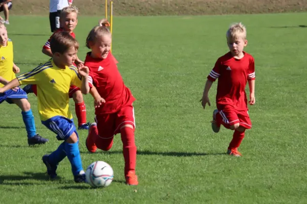 24.08.2024 NSG Gräfenhainichen vs. SV Rot-Weiß Kemberg