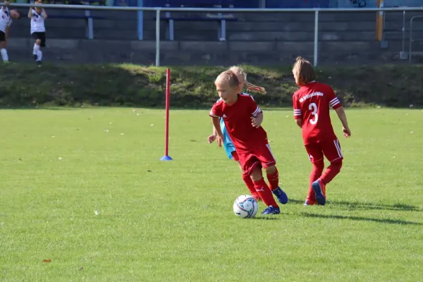 24.08.2024 NSG Gräfenhainichen vs. SV Rot-Weiß Kemberg