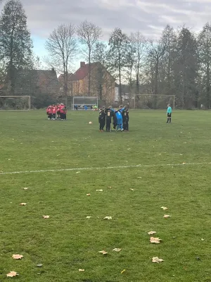 23.11.2024 NSG Gräfenhainichen vs. JSG Lutherkicker